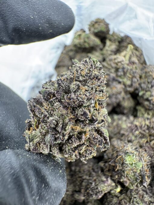 ZOMBIE KUSH STRAIN,ZOMBIE STRAIN,ZOMBIE ZEST STRAIN,ZOMBIE KUSH,ZOMBIE OG STRAIN