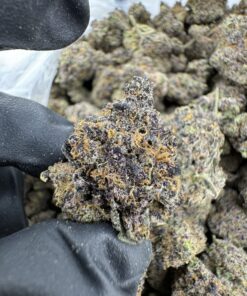 red runtz strain,red runtz,red pop runtz strain,red rum strain,red strains of weed