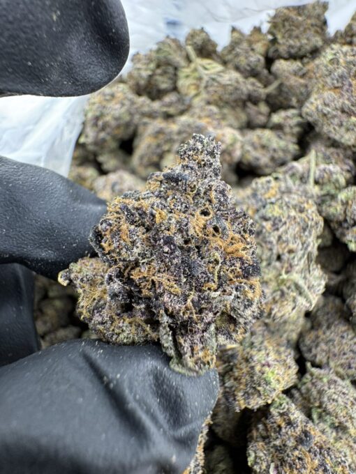 red runtz strain,red runtz,red pop runtz strain,red rum strain,red strains of weed