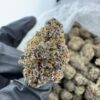JOKERZ 31 STRAIN,jokerz strain,joker strain,joker candy,baby jokerz strain