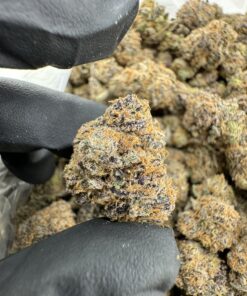 PEANUT BUTTER TRUFFLES STRAIN,peanut butter truffle,peanut butter truffle strain,black truffle strain,lindt peanut butter truffles