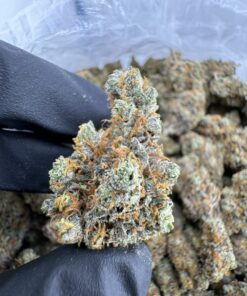 Nebula Strain,funky nebula strain,dark nebula strain,nebula buds,nebula weed