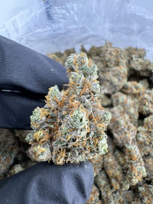 Nebula Strain,funky nebula strain,dark nebula strain,nebula buds,nebula weed