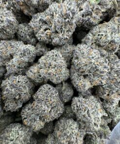 grape gatsby strain,grape gatsby,great gatsby dispensary,grape gasby strain,grape gatsby strain indica or sativa