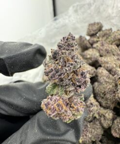 Lollipop Strain,lollipop weed,lollipopping weed,lollipopz strain,what is lollipopping