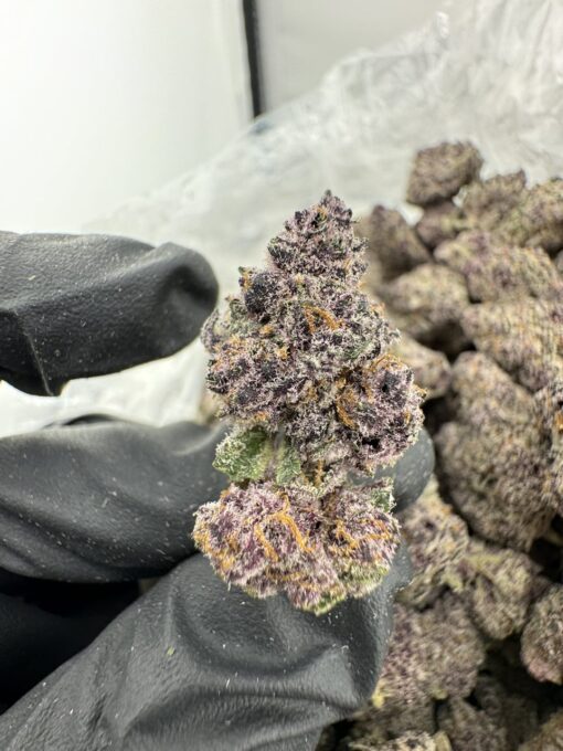 Lollipop Strain,lollipop weed,lollipopping weed,lollipopz strain,what is lollipopping