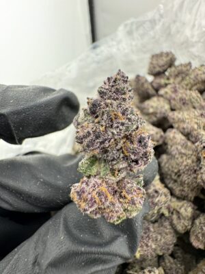 Lollipop Strain,lollipop weed,lollipopping weed,lollipopz strain,what is lollipopping