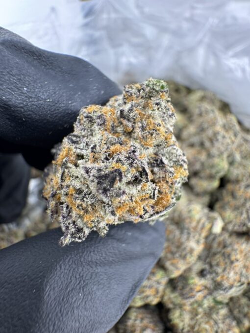ZERO GRAVITY STRAIN,zero gravity weed strain,gravity cookies strain,zero gravity disposable,zero g strain