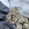 GREASY RUNTZ STRAIN,GREASY RUNTZ,GREASY RUNTS,GREASY RUNTZ STRAIN INDICA OR SATIVA,GREASY RTZ