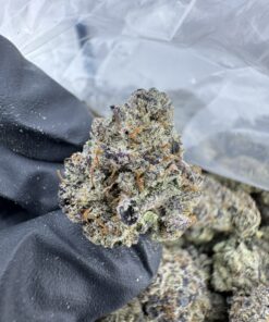 GREASY RUNTZ STRAIN,GREASY RUNTZ,GREASY RUNTS,GREASY RUNTZ STRAIN INDICA OR SATIVA,GREASY RTZ