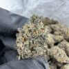 GOLD CASH STRAIN,GOLD CASH GOLD STRAIN,GOLD CASH GOLD,PUFFY THCA,gold cash strain thc level