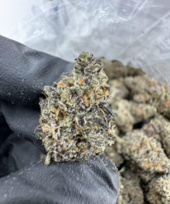 GOLD CASH STRAIN,GOLD CASH GOLD STRAIN,GOLD CASH GOLD,PUFFY THCA,gold cash strain thc level