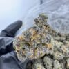 COTTON CANDY STRAIN,cotton candy runtz strain,cotton candy weed strain,cotton candy cookies strain,cotton candy kush strain