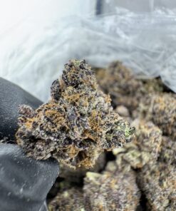 bacio gelato strain,BACIO GELATO,BACIO STRAIN,bacio gelato strain effects,bacio gelato strain indica or sativa
