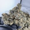 Golden State Banana Strain,golden state strain,golden state exotics strain,golden state gelato strain,moonbeam strain a golden state