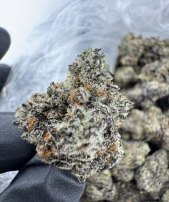 BLACK TRUFFLE STRAIN,black truffles strain,truffle strain,gas truffle strain,black truffle weed strain
