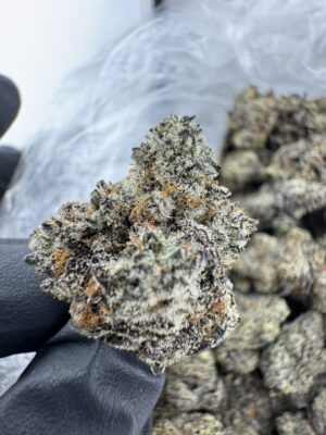 BLACK TRUFFLE STRAIN,black truffles strain,truffle strain,gas truffle strain,black truffle weed strain