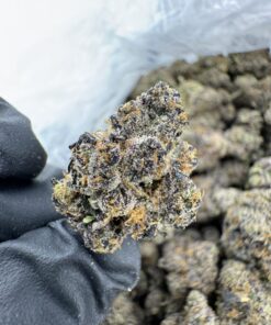 red runtz strain,red runtz,red pop runtz strain,red rum strain,red strains of weed