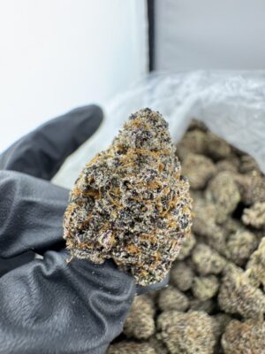 JOKERZ 31 STRAIN,jokerz strain,joker strain,joker candy,baby jokerz strain