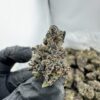 JET FUEL GELATO STRAIN,JET FUEL GELATO,JETLATO STRAIN,JET FUEL WEED STRAIN,GELATO FUEL STRAIN
