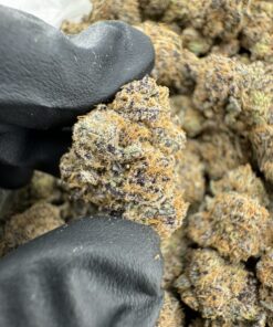 PEANUT BUTTER TRUFFLES STRAIN,peanut butter truffle,peanut butter truffle strain,black truffle strain,lindt peanut butter truffles