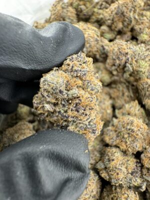 PEANUT BUTTER TRUFFLES STRAIN,peanut butter truffle,peanut butter truffle strain,black truffle strain,lindt peanut butter truffles