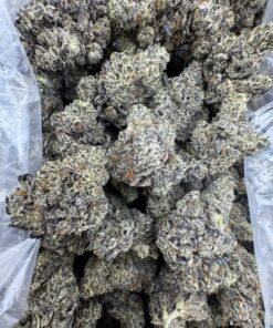 BLACK TRUFFLE STRAIN,black truffles strain,truffle strain,gas truffle strain,black truffle weed strain