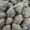 JOKERZ 31 STRAIN,jokerz strain,joker strain,joker candy,baby jokerz strain