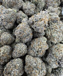 JOKERZ 31 STRAIN,jokerz strain,joker strain,joker candy,baby jokerz strain