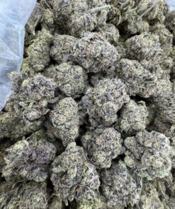 GUSH MINTZ STRAIN,gush mints strain,gush mints,GUSH MINTZ,gush mints strain effects