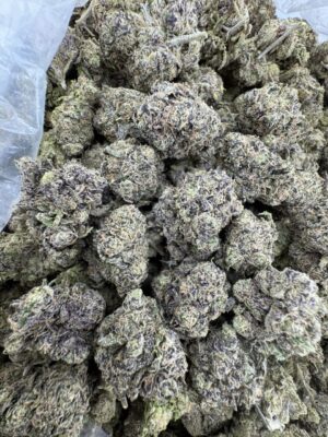 GUSH MINTZ STRAIN,gush mints strain,gush mints,GUSH MINTZ,gush mints strain effects
