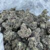 JET FUEL GELATO STRAIN,JET FUEL GELATO,JETLATO STRAIN,JET FUEL WEED STRAIN,GELATO FUEL STRAIN