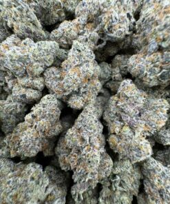 snow cone weed strain