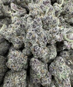 Lollipop Strain,lollipop weed,lollipopping weed,lollipopz strain,what is lollipopping