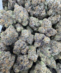 ZERO GRAVITY STRAIN,zero gravity weed strain,gravity cookies strain,zero gravity disposable,zero g strain