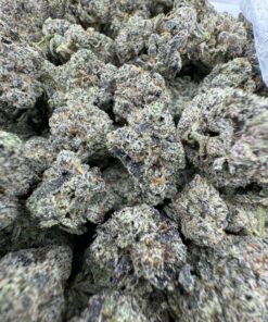 GREASY RUNTZ STRAIN,GREASY RUNTZ,GREASY RUNTS,GREASY RUNTZ STRAIN INDICA OR SATIVA,GREASY RTZ