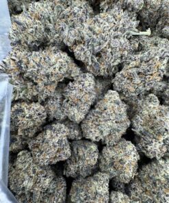 GOLD CASH STRAIN,GOLD CASH GOLD STRAIN,GOLD CASH GOLD,PUFFY THCA,gold cash strain thc level