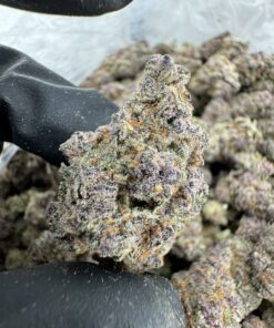 cherry strain