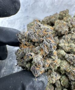 Za Morant strain