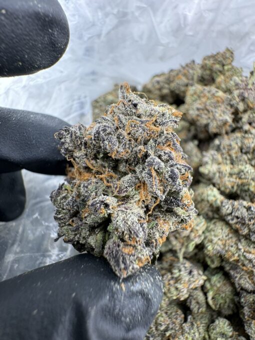 Za Morant strain