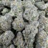 ,trop cherry strain