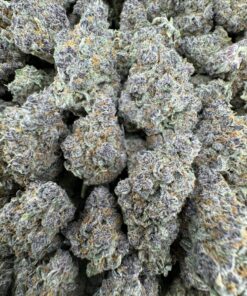 ,trop cherry strain