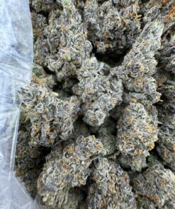 za morant strain indica or sativa