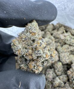 lcg x kryptochronic strain