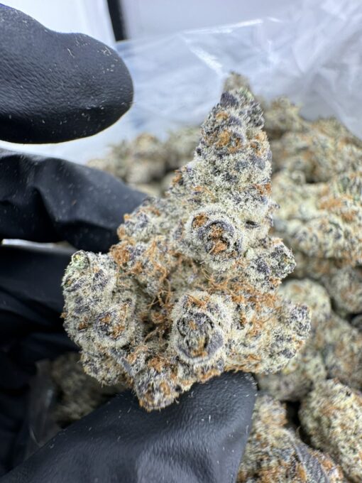 JAWBREAKER STRAIN,jawbreakers strain,space jawbreakers strain,jawbreaker strain INDICA OR SATIVA,jawbreaker weed strain