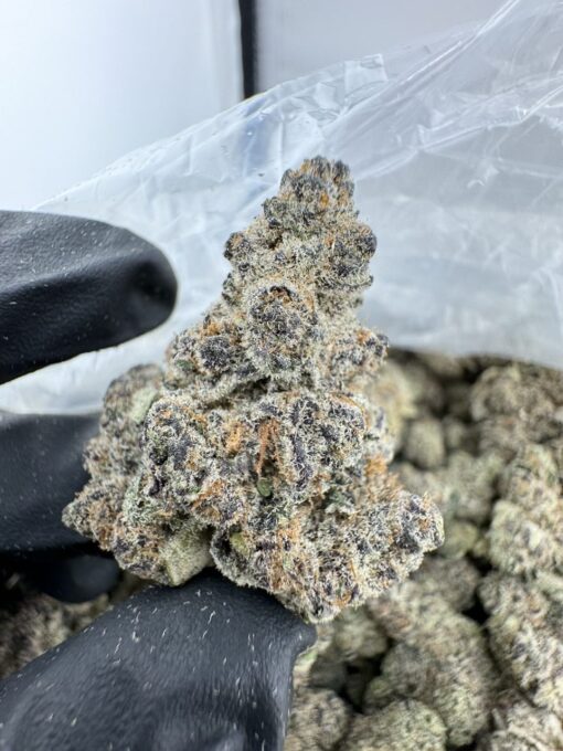 Block Party Strain,blockparty strain,block party strain leafly,block party strain review,block party strain society c,block party weed strain,block party strain indica or sativa