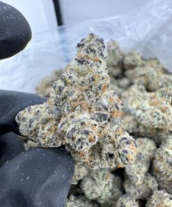 JAWBREAKER STRAIN,jawbreakers strain,space jawbreakers strain,jawbreaker strain INDICA OR SATIVA,jawbreaker weed strain