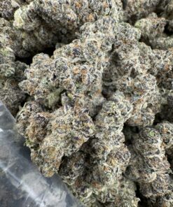 Block Party Strain,blockparty strain,block party strain leafly,block party strain review,block party strain society c,block party weed strain,block party strain indica or sativa