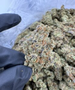 berry cream puff strain,Cream Puff Strain,berries and cream strain,berries n cream strain,berry cream strain