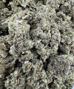 LA Skunk Strain,la skunk weed,la super skunk,super skunk strain,super skunk WEED strain